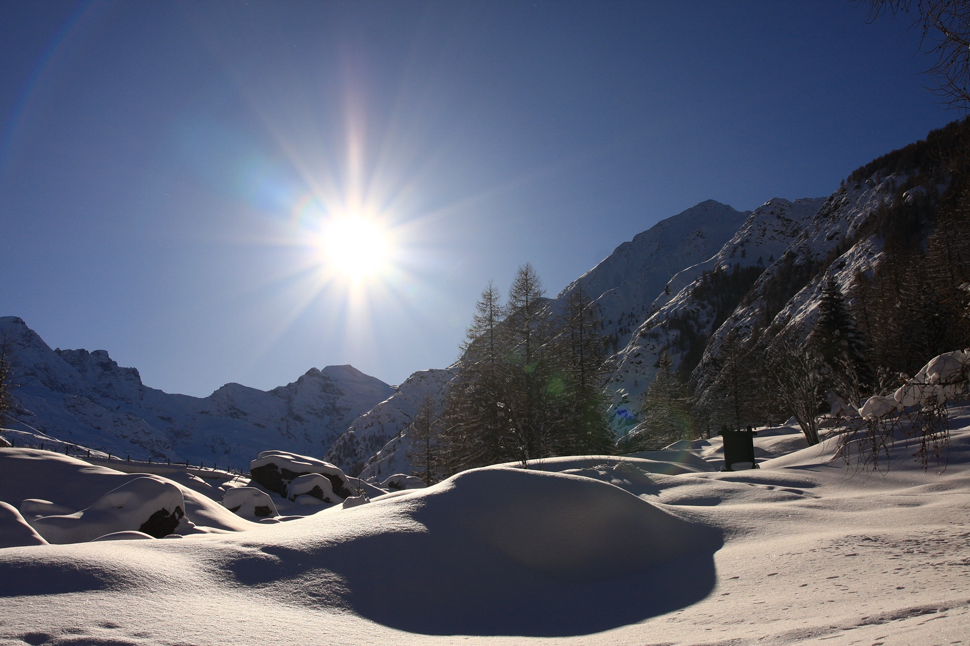 La neige protège les plantes en hiverPresque toutes les plantes de montagne sèchent en automne dans leur partie externe (épigée) et restent vitales dans leur partie souterraine (hypogée). Si la couverture neigeuse est suffisamment épaisse et durable, au niveau du sol les températures se maintiennent autour de 0 °C; de plus, la neige constitue une réserve d’eau précieuse pour le sol lorsqu’elle fond au printemps.